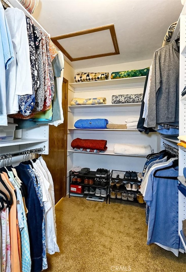 15381 Otomian Rd, Apple Valley, CA 92307 - walk in closet with attic access and carpet