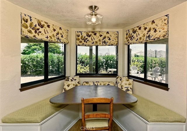 15381 Otomian Rd, Apple Valley, CA 92307 - dining room with breakfast area, a textured ceiling, and a textured wall