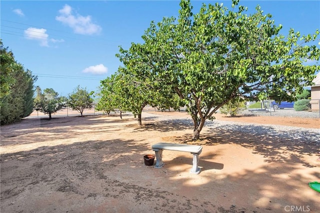 14908 Dakota Rd, Apple Valley, CA 92307 - view of yard