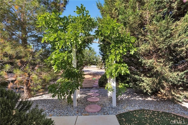 14908 Dakota Rd, Apple Valley, CA 92307 - view of yard