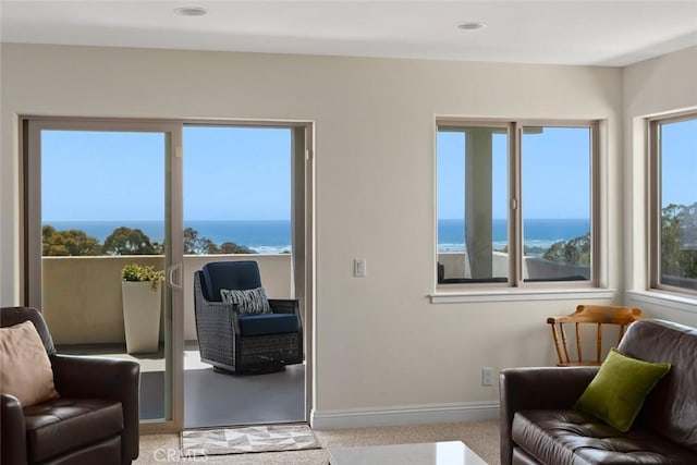 2680 Maple Ave, Morro Bay, CA 93442 - photo 42