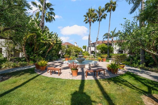 4822 Tiara Dr Unit 104, Huntington Beach, CA 92649 - view of green lawn
