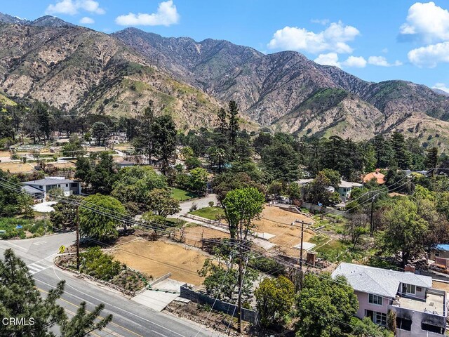 900 E Mount Curve Ave, Altadena, CA 91001 - photo 8