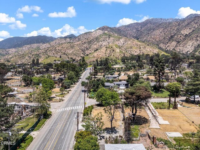 900 E Mount Curve Ave, Altadena, CA 91001 - photo 10