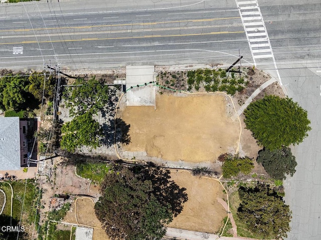 900 E Mount Curve Ave, Altadena, CA 91001 - photo 1