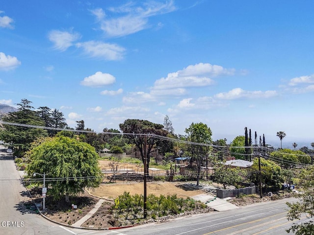 900 E Mount Curve Ave, Altadena, CA 91001 - photo 2