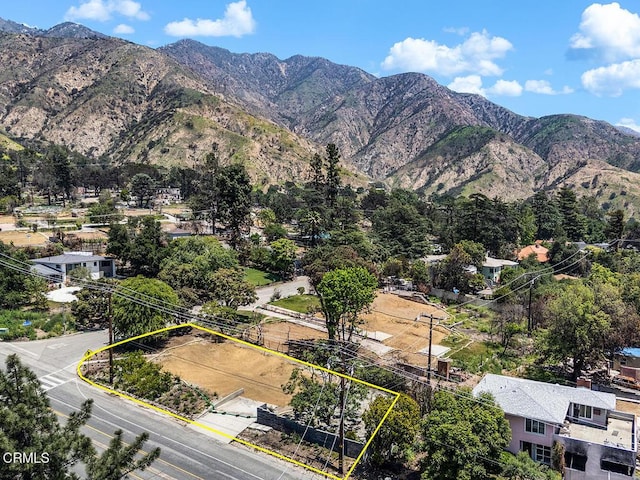 900 E Mount Curve Ave, Altadena, CA 91001 - photo 9