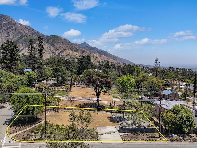 900 E Mount Curve Ave, Altadena, CA 91001 - photo 7