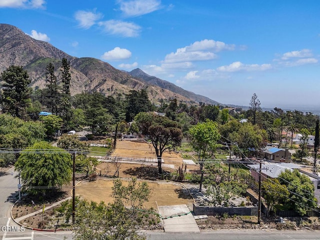 900 E Mount Curve Ave, Altadena, CA 91001 - photo 6