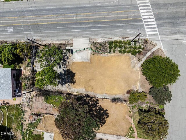900 E Mount Curve Ave, Altadena, CA 91001 - photo 20