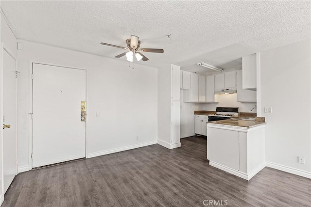 450 E 4th St Unit 419, Santa Ana, CA 92701 - kitchen featuring gas range gas stove, under cabinet range hood, dark wood-style floors, ceiling fan, and a textured ceiling