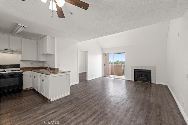 450 E 4th St Unit 419, Santa Ana, CA 92701 - kitchen with range with gas stovetop, under cabinet range hood, a textured ceiling, open floor plan, and dark wood-type flooring