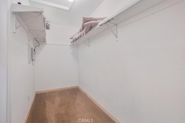 61975 La Brisa Dr, Joshua Tree, CA 92252 - walk in closet featuring carpet flooring
