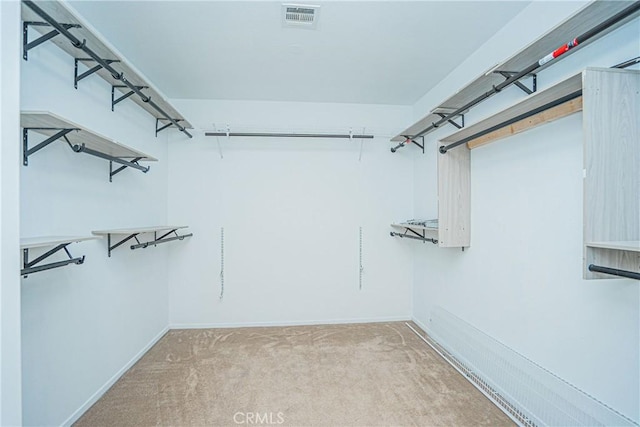 11935 Silver, Jurupa Valley, CA 91752 - walk in closet featuring carpet floors