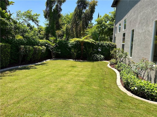 1073 Peter Christian Cir, Corona, CA 92881 - view of green lawn