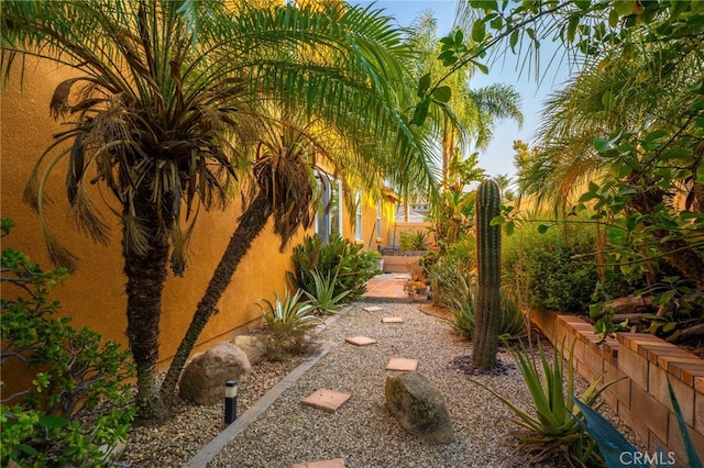 30050 Cabo Del Oeste, Highland, CA 92346 - view of yard