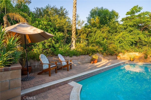 30050 Cabo Del Oeste, Highland, CA 92346 - view of swimming pool with a patio area