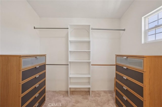 22832 Larkin St, Lake Forest, CA 92630 - walk in closet with light carpet