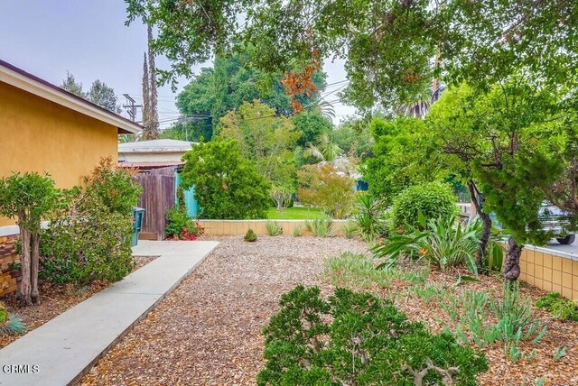  - view of yard