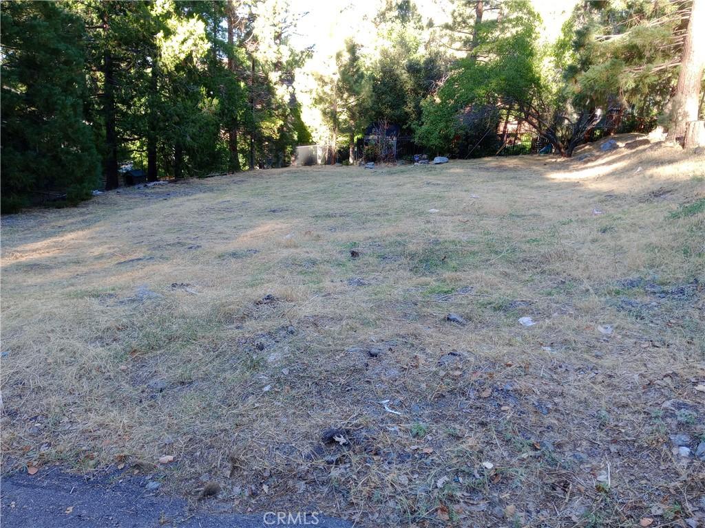 5457 Morning Star Ct, Wrightwood, CA 92397 - photo 1