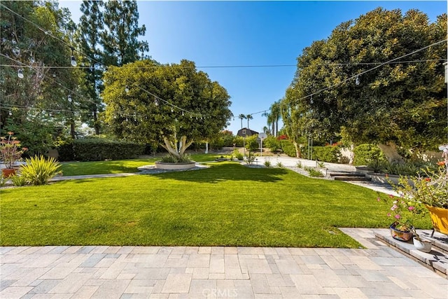 19180 Palm Vis, Yorba Linda, CA 92886 - view of grassy yard
