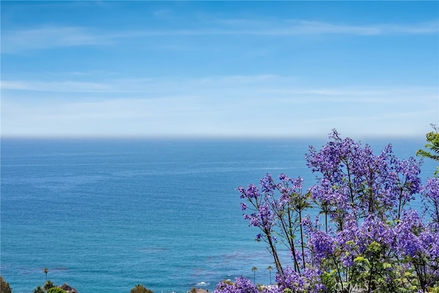 900 Gainsborough Dr, Laguna Beach, CA 92651 - photo 49