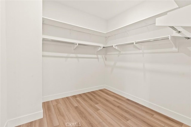 27636 S Evergreen Pl, San Pedro, CA 90732 - walk in closet with light wood-type flooring