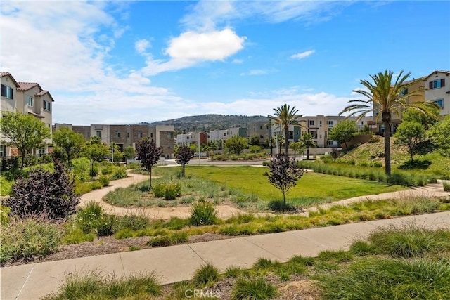 27636 S Evergreen Pl, San Pedro, CA 90732 - view of property's community featuring a residential view