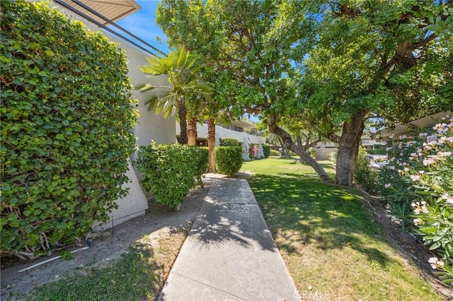 2825 N Los Felices Rd Unit 211, Palm Springs, CA 92262 - view of green lawn