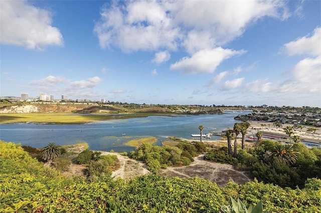 1336 Galaxy Dr, Newport Beach, CA 92660 - photo 39