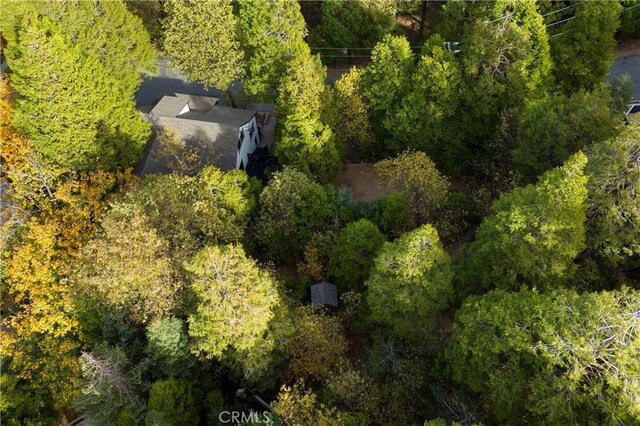 814 Glen View Ln, Twin Peaks, CA 92391 - photo 33