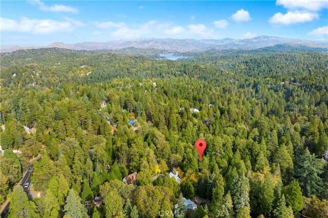 814 Glen View Ln, Twin Peaks, CA 92391 - photo 35
