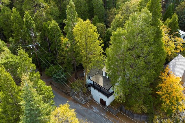 814 Glen View Ln, Twin Peaks, CA 92391 - photo 31