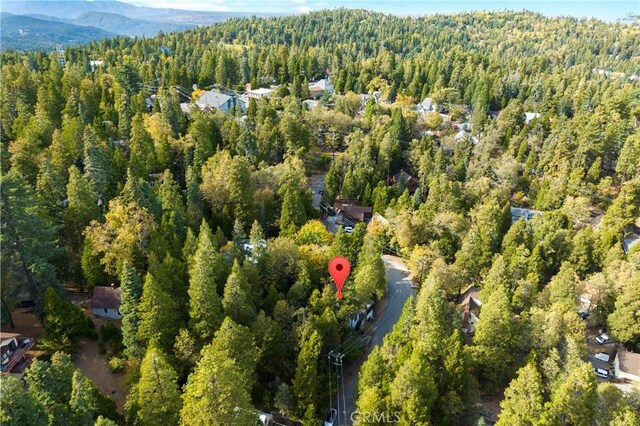 814 Glen View Ln, Twin Peaks, CA 92391 - photo 34