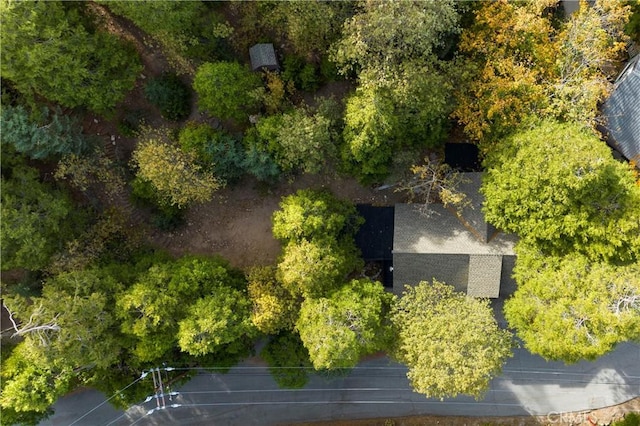 814 Glen View Ln, Twin Peaks, CA 92391 - photo 32
