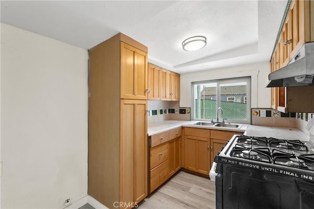 44668 Brawley Ave, Jacumba, CA 91934 - kitchen with under cabinet range hood, black gas range oven, light countertops, and light wood-type flooring