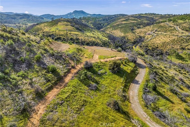 2065 Stagecoach Canyon Rd, Pope Valley, CA 94567 - photo 5