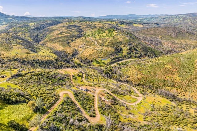 2065 Stagecoach Canyon Rd, Pope Valley, CA 94567 - photo 3