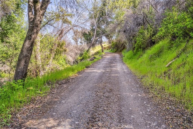 2065 Stagecoach Canyon Rd, Pope Valley, CA 94567 - photo 11
