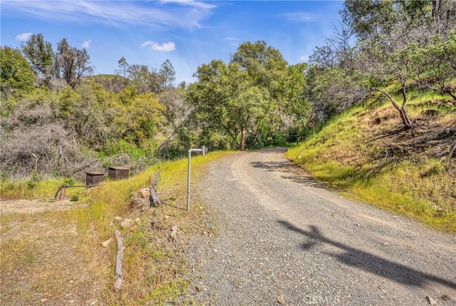 2065 Stagecoach Canyon Rd, Pope Valley, CA 94567 - photo 7