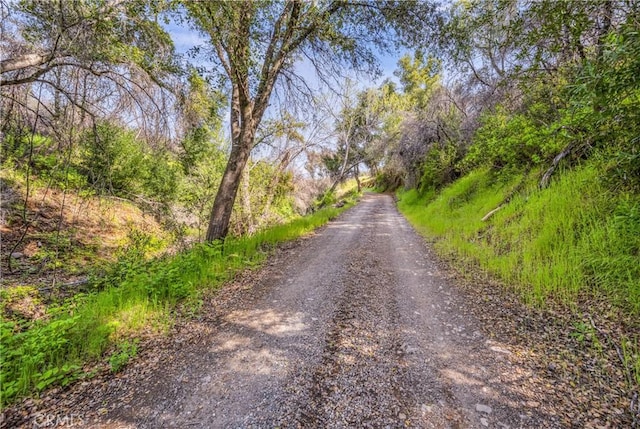 2065 Stagecoach Canyon Rd, Pope Valley, CA 94567 - photo 10