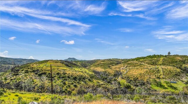 2065 Stagecoach Canyon Rd, Pope Valley, CA 94567 - photo 15