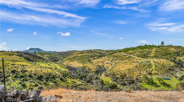 2065 Stagecoach Canyon Rd, Pope Valley, CA 94567 - photo 14
