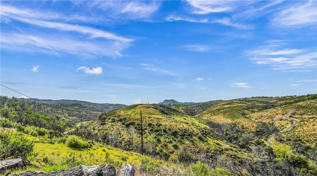 2065 Stagecoach Canyon Rd, Pope Valley, CA 94567 - photo 16