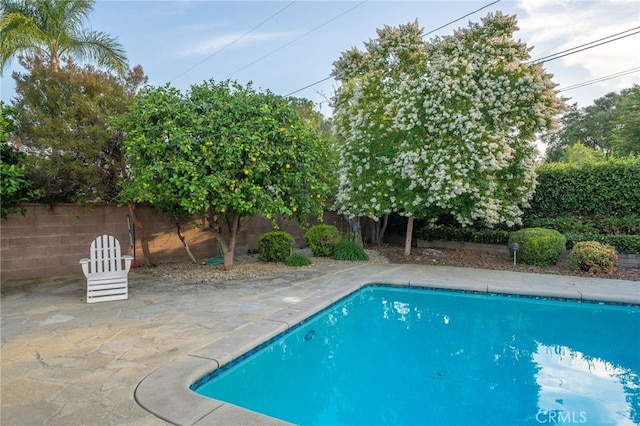1525 Lafayette Rd, Claremont, CA 91711 - view of pool with a fenced backyard and a patio area