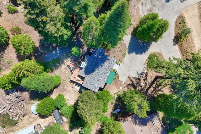 7475 Henness Cir, Yosemite, CA 95389 - photo 45