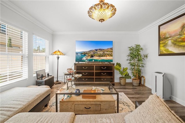 9804 Ardisia St, Riverside, CA 92503 - living room with wood finished floors, crown molding, and radiator heating unit