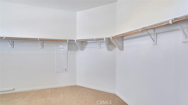 32420 Apricot Tree Rd, Winchester, CA 92596 - walk in closet with carpet flooring