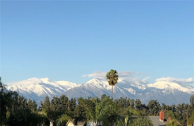 3526 Alder Pl, Chino Hills, CA 91709 - mountain view