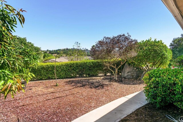 10518 Moon View Way, Escondido, CA 92026 - view of yard